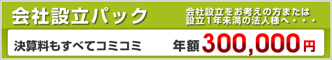 会社設立パック　毎月訪問で年額300,000円